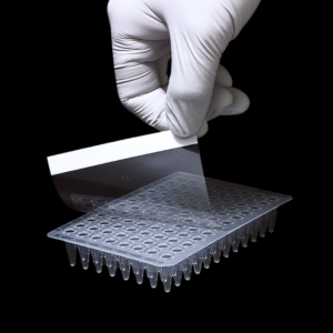 PCR Plate 96 Well PP 0.1ml | 0.2ml